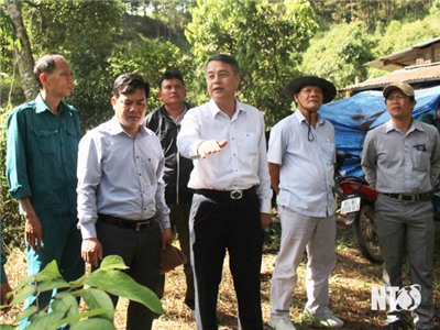 Đoàn giám sát HĐND tỉnh làm việc với Ban Quản lý rừng phòng hộ Krông Pha