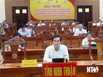 Quán triệt, triển khai kết luận của Bộ Chính trị về công tác người Việt Nam ở nước ngoài trong tình hình mới