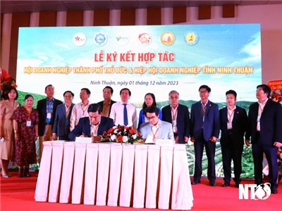 Hội nghị Kết nối đầu tư và giao thương tại tỉnh Ninh Thuận