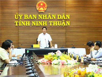 Đoàn công tác của Chính phủ làm việc trực tuyến với hai tỉnh Ninh Thuận và Bình Thuận