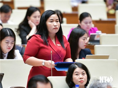 Đoàn ĐBQH tỉnh Ninh Thuận: Tham gia thảo luận tại Hội trường về Luật sửa đổi bổ sung một số điều của Luật Quảng cáo