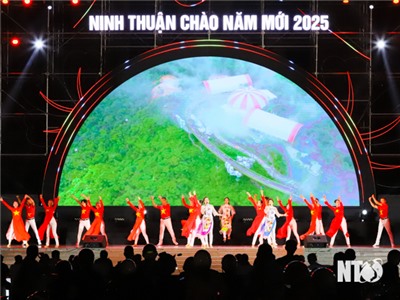 Tham dự “Chương trình chào năm mới 2025”