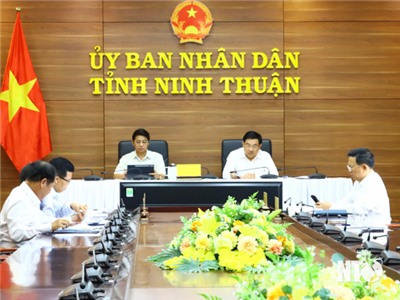 Họp trực tuyến tháo gỡ khó khăn, vướng mắc cho các dự án năng lượng tái tạo